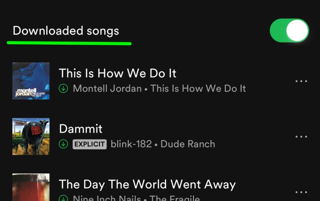 ວິ​ທີ​ການ​ດາວ​ນ​໌​ໂຫລດ​ເພງ​ຈາກ Spotify ກັບ iPhone​